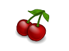 CherryTree