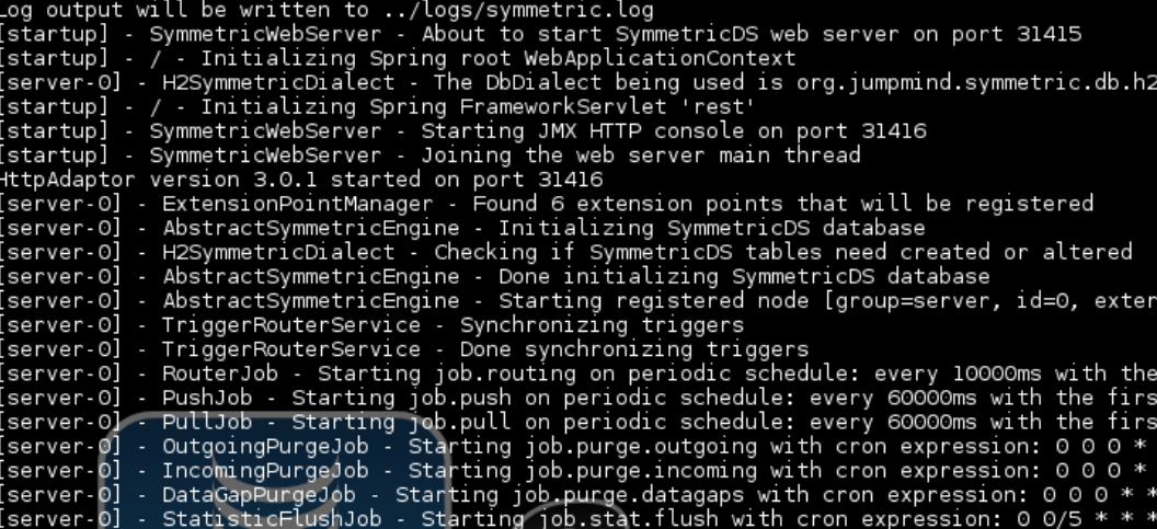 SymmetricDS screenshot