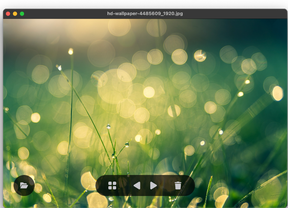 LeafView screenshot